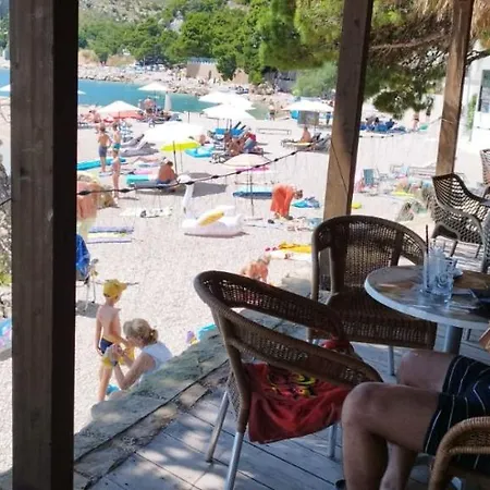Din Ljubic Mimice