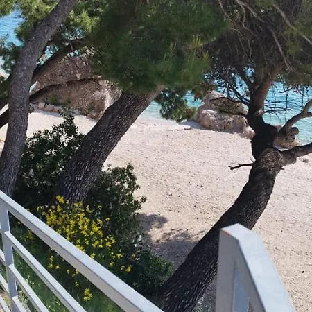 Din Ljubic Apartman Mimice